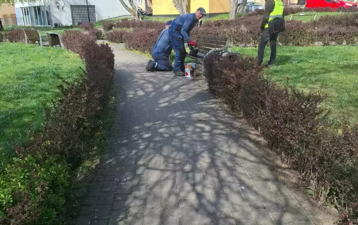 Zdjęcie do ul. Jagiellońska Malowanie ławek