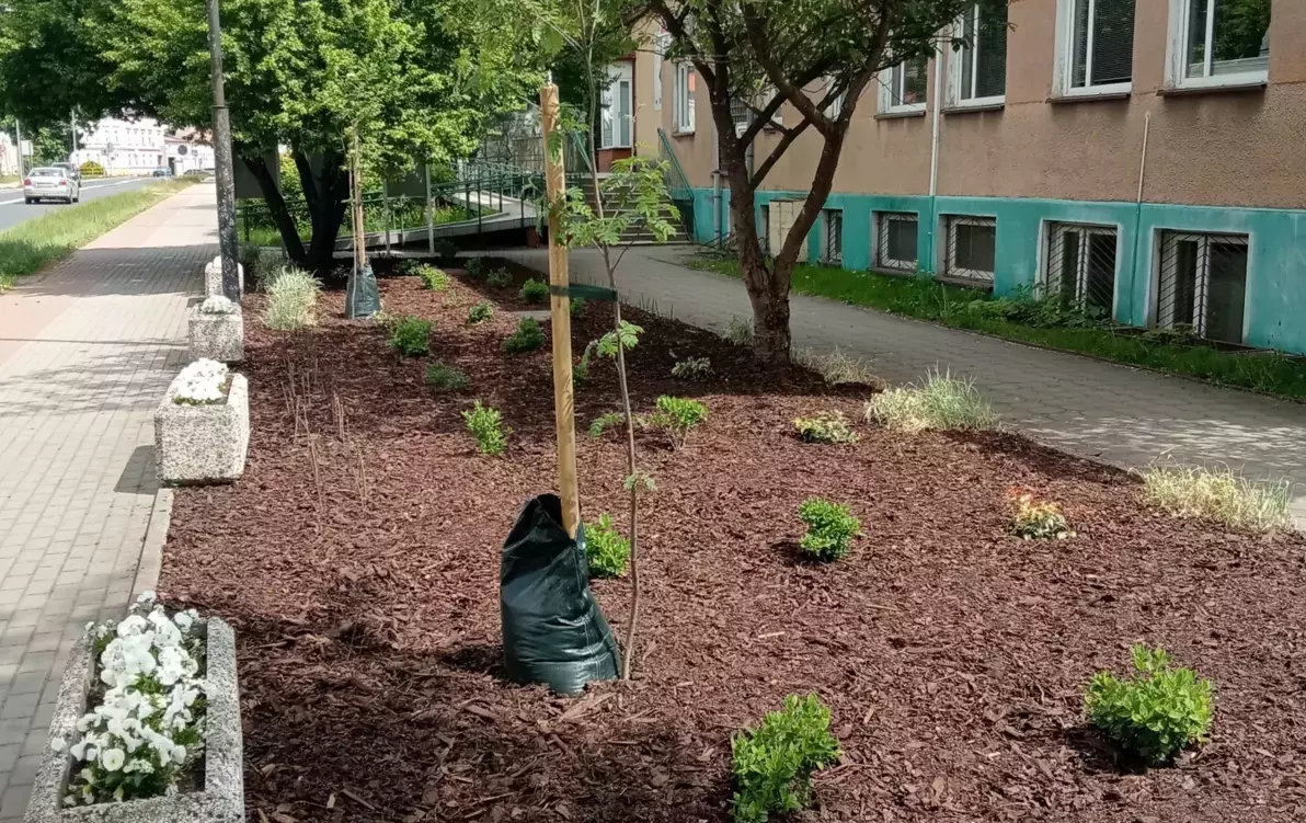 Zdjęcie do Kolejne zielone miejsce w mieście
