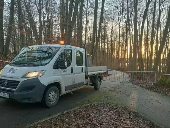 Zdjęcie do UWAGA! ŚCINKA DRZEW WSTĘP WZBRONIONY